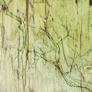 Edited pencil sketch of tree roots or branches over a wood texture. The image has been tinted a moss green color.
